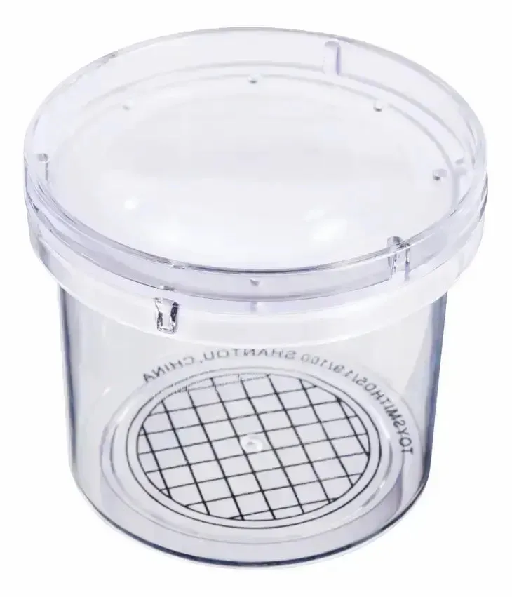 Beetle & Bee Magnifying Bug Viewer